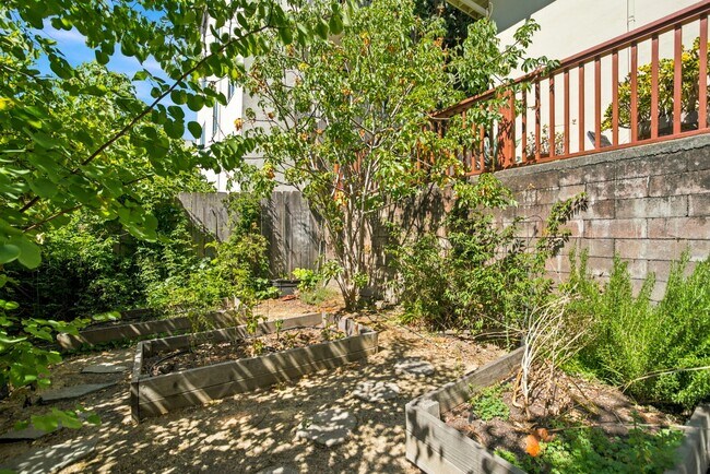 Building Photo - Sun-Drenched Lakeshore Living