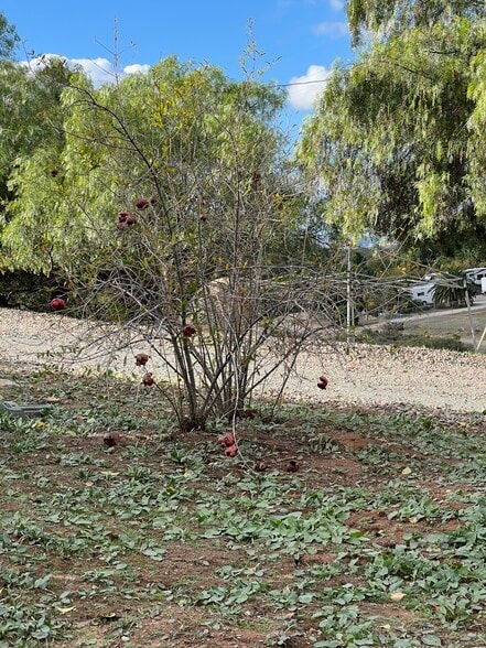 Building Photo - 9874 Chocolate Summit Dr