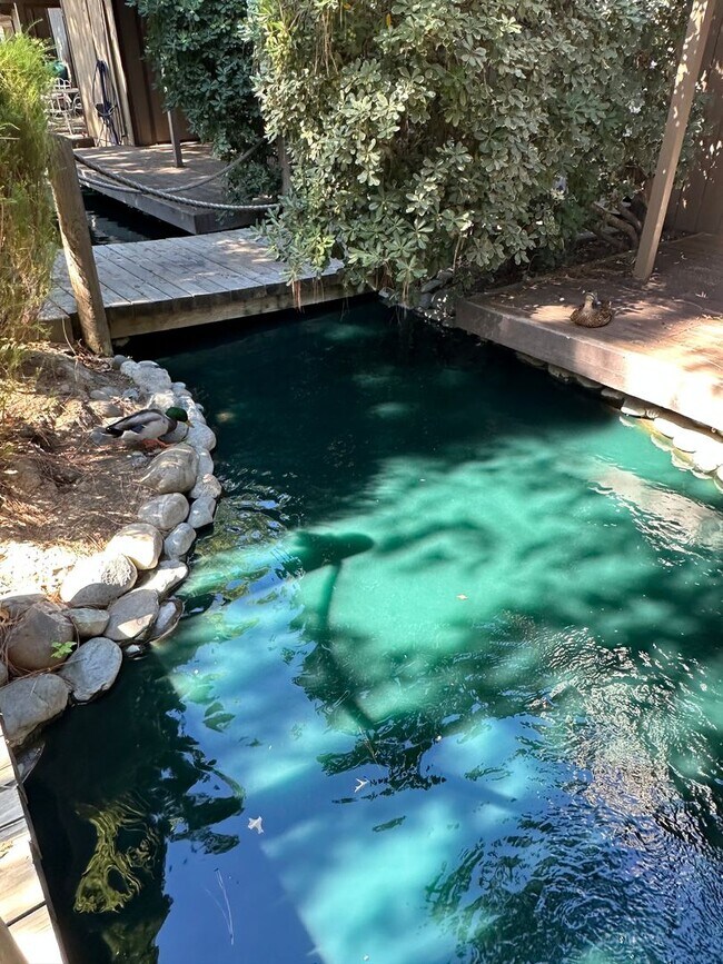 Building Photo - Cute and Cozy 1 Bedroom Condo in Gated Tim...