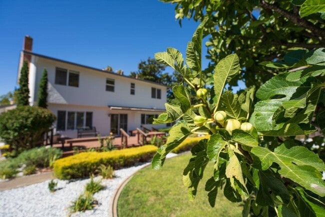 Building Photo - Desirable 3 Bedrooms, 2.5 Bathrooms, 2 Story North Napa Home with Vineyard Views in Springwood De...