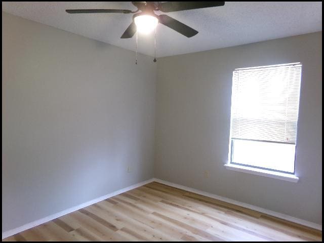 Building Photo - 1801 Mesquite Cir