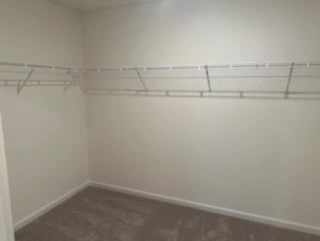 Building Photo - 121 Snowdrop Ave