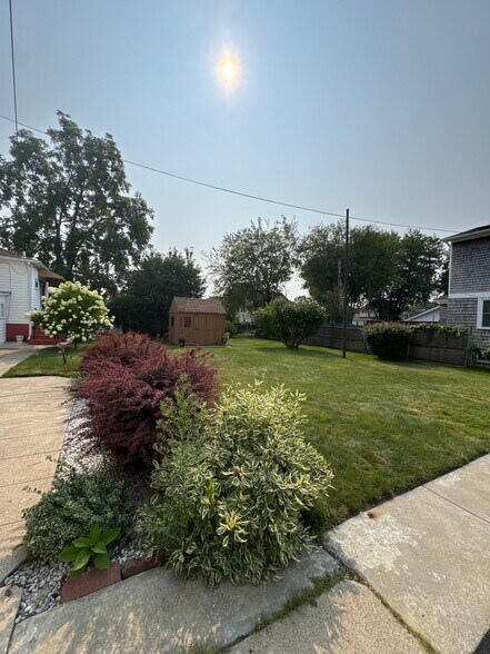 Back Yard - 35 Queen St