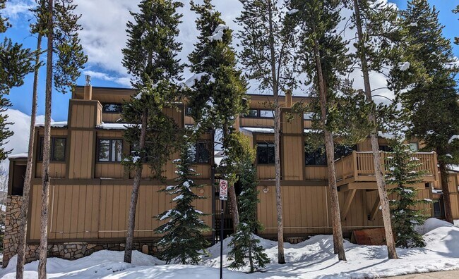 Building Photo - Pets Negotiable!  Walk to town, community hot tub! 2 month lease!