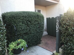 Building Photo - 205 Ventura Pl