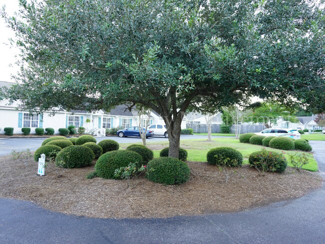 Building Photo - 2BR/2BA- Townhome in Wilmington near Monkey Junction - $1,500/month Pet friendly*