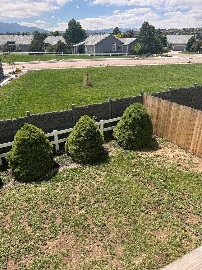 Building Photo - Stunning 2-Story 4 Bedroom Home With Finished Walk-Out Basement and Bonus Room