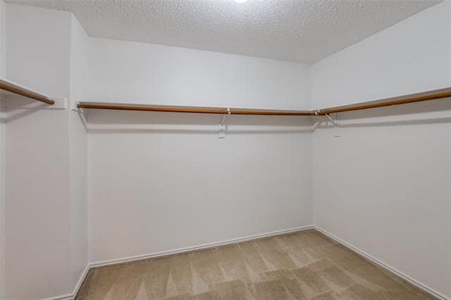 Building Photo - 1604 Jester Ct