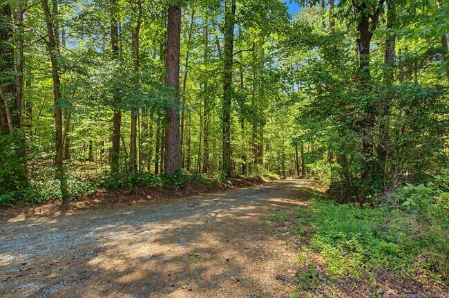 Building Photo - Updated 3-Bedroom Home on 10 acres in Chapel Hill