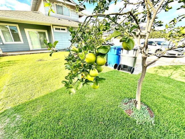 Building Photo - Beautiful Pet Friendly Home in Ewa Gentry!