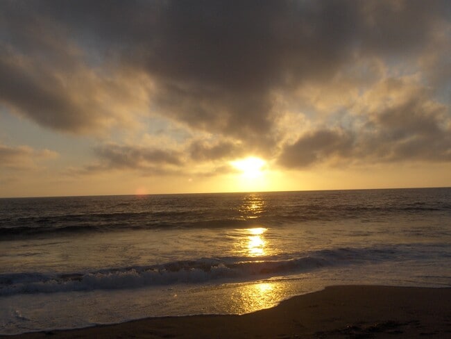 Building Photo - 305 Emerald St