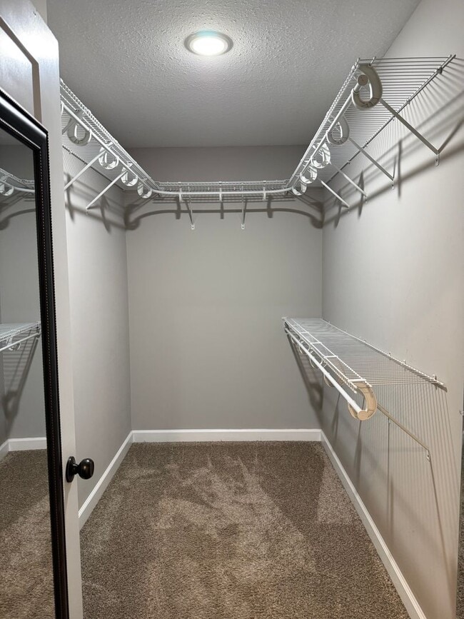 Building Photo - 157 Cody Dr