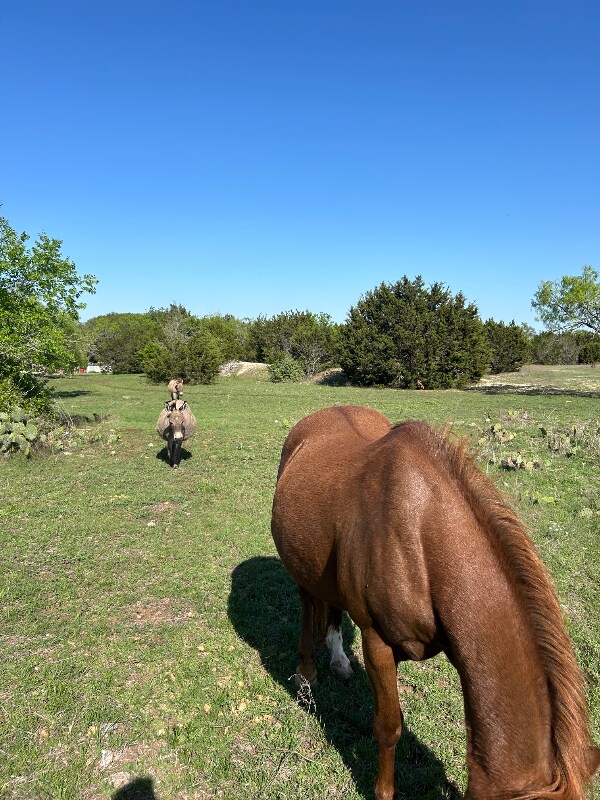 Building Photo - 3656 FM 2657