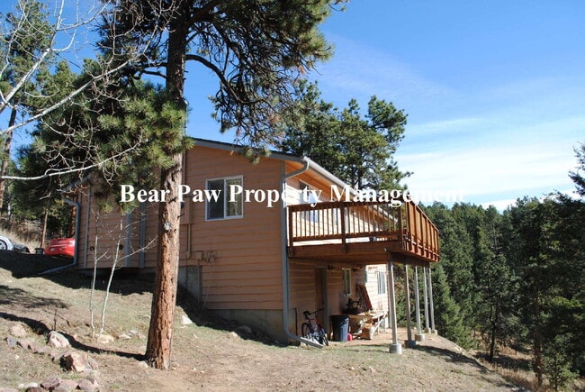 Building Photo - Cute home in Conifer!