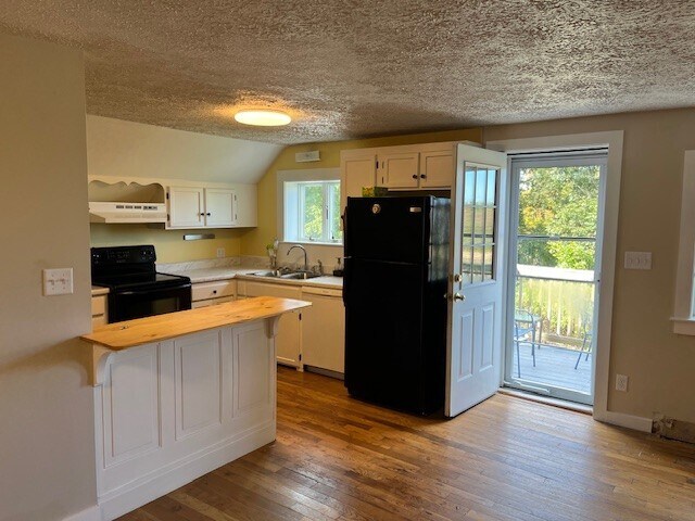 Kitcgen with fridge, dishwasher - 30 E Elm St