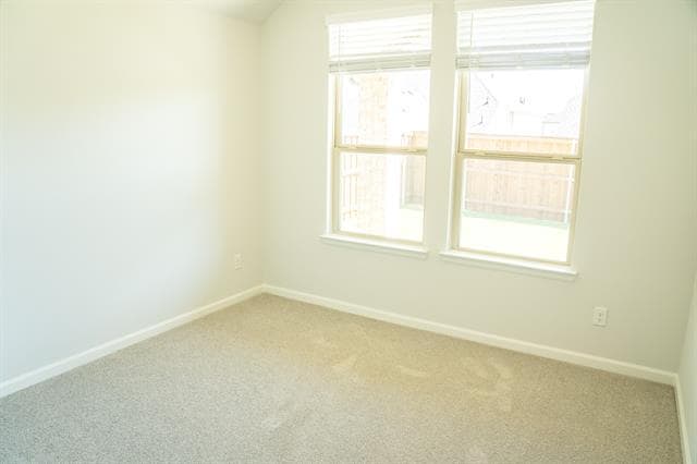 Building Photo - 3112 Cottontail Dr