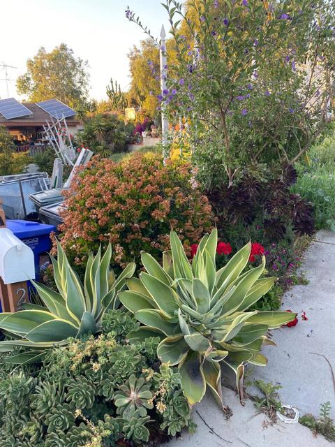 Building Photo - 2319 Ridgeway Dr