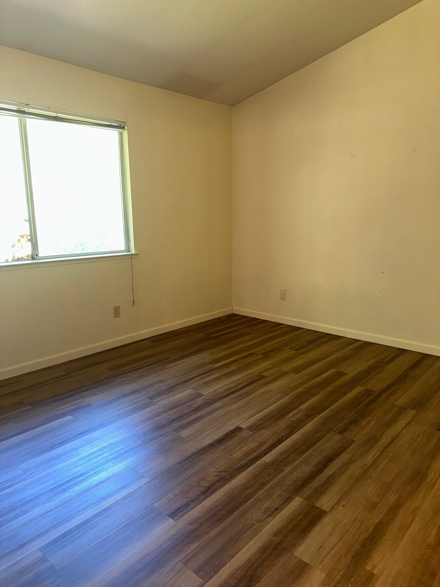 Building Photo - 643 Lunardi Way