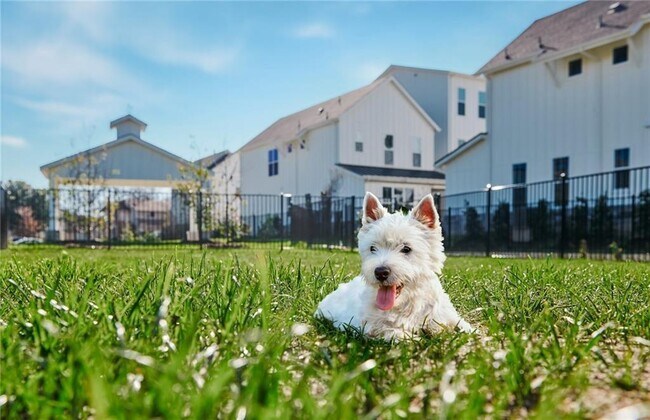 Building Photo - 2624 Metcalfe Rd