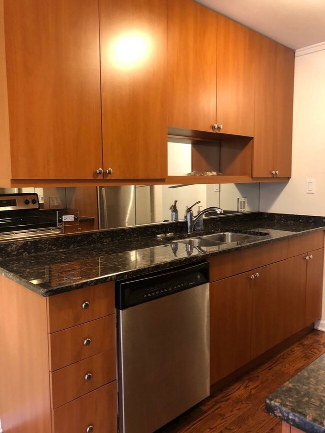 Building Photo - Beautiful Lincoln Park condo situated right next to Lake Shore Drive and Clark Street!