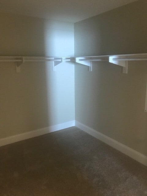 Building Photo - Incredible 5 Bed 2.5 Bath House Located In San Marcos