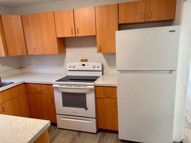Building Photo - Fully Remodeled 2/1 in the heart of Tampa