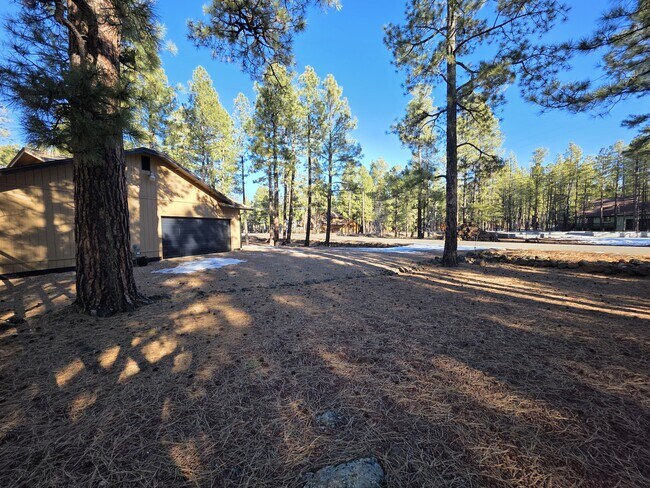 Building Photo - 7507 Tall Pine Dr