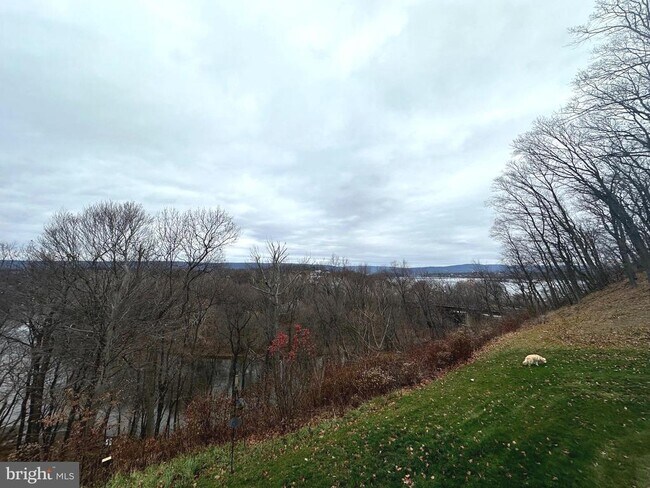 Building Photo - 11 Woods Dr