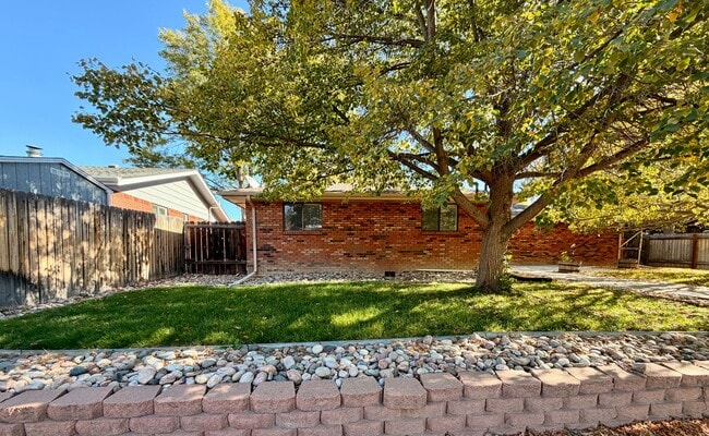 Building Photo - Amazing 3bed/2 bath with finished basement.