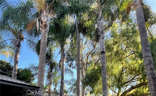Building Photo - 1453 Rancho Hills Dr