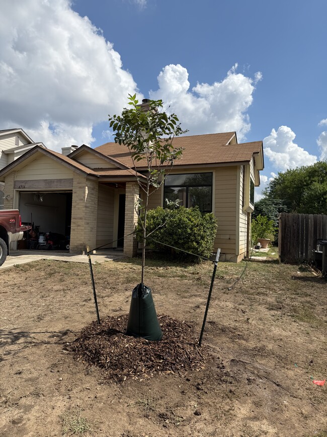 Building Photo - 6316 Village Arbor