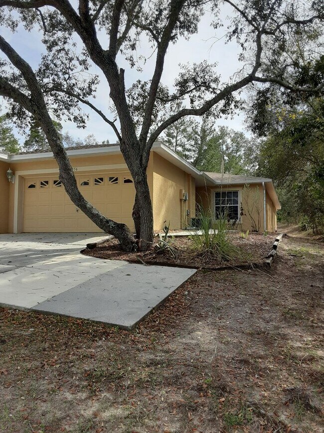 Building Photo - Stunning Short Term Rental!