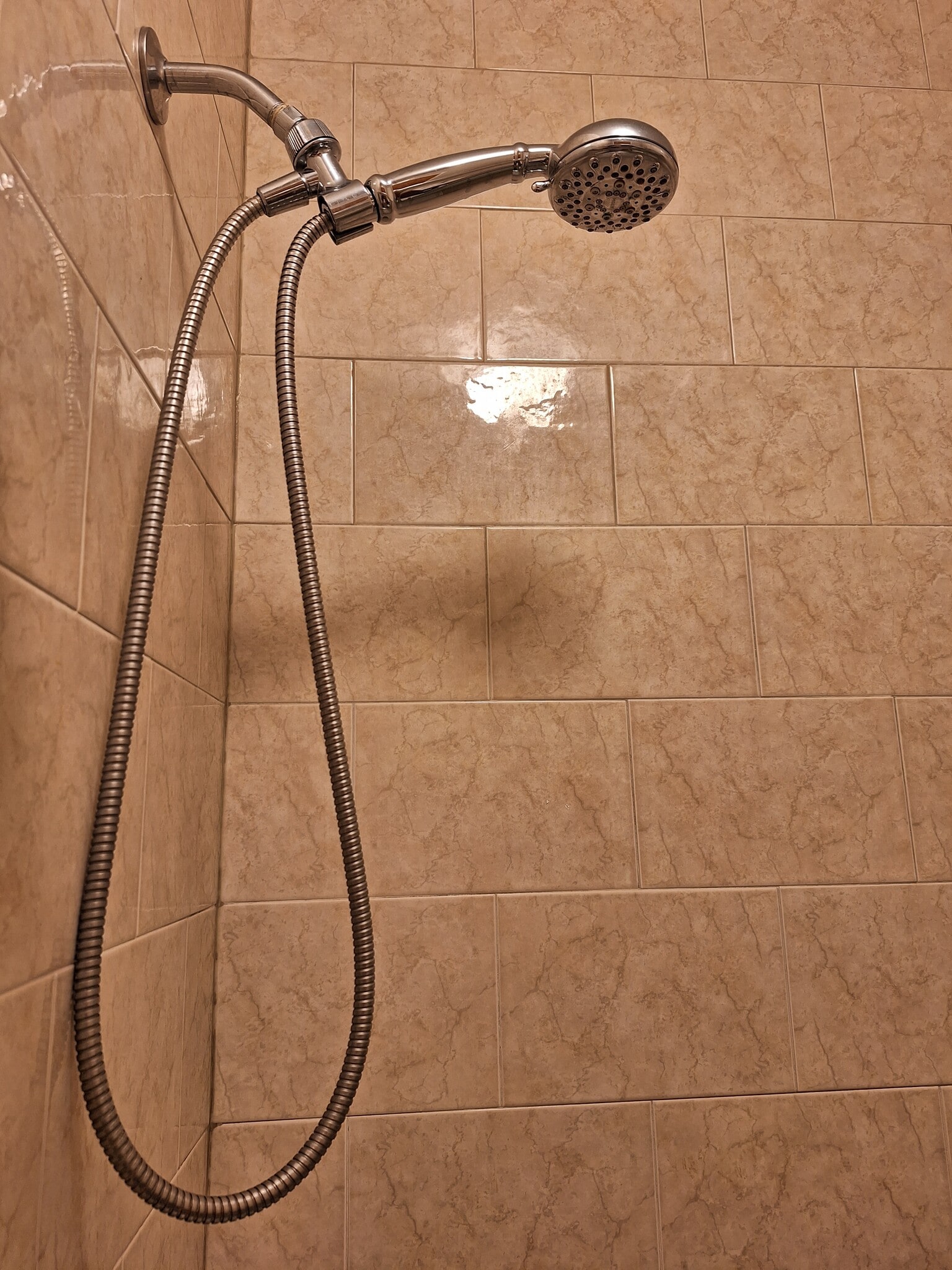 Shower head - 1229 Wood St