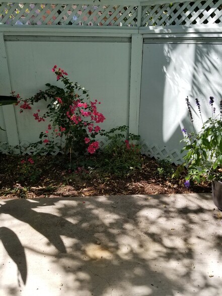 Deck - 1520 Adeline St