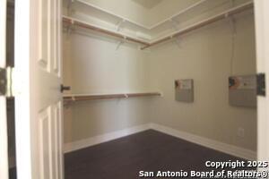 Building Photo - 1707 Tiny Tune