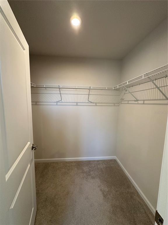 Building Photo - 3785 Blue Mountain Wy