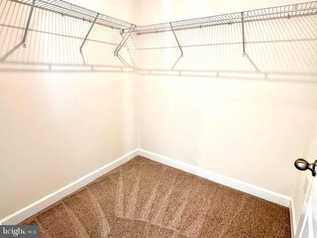 Building Photo - 3822 Rainier Dr