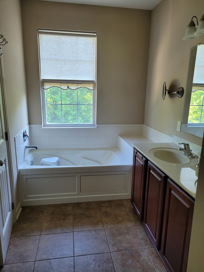 Master Bathroom3 - 1059 Bluffway Dr