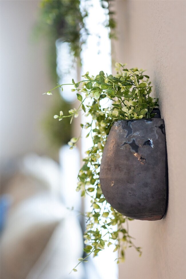 Building Photo - 10332 Rainbow Cove Ln