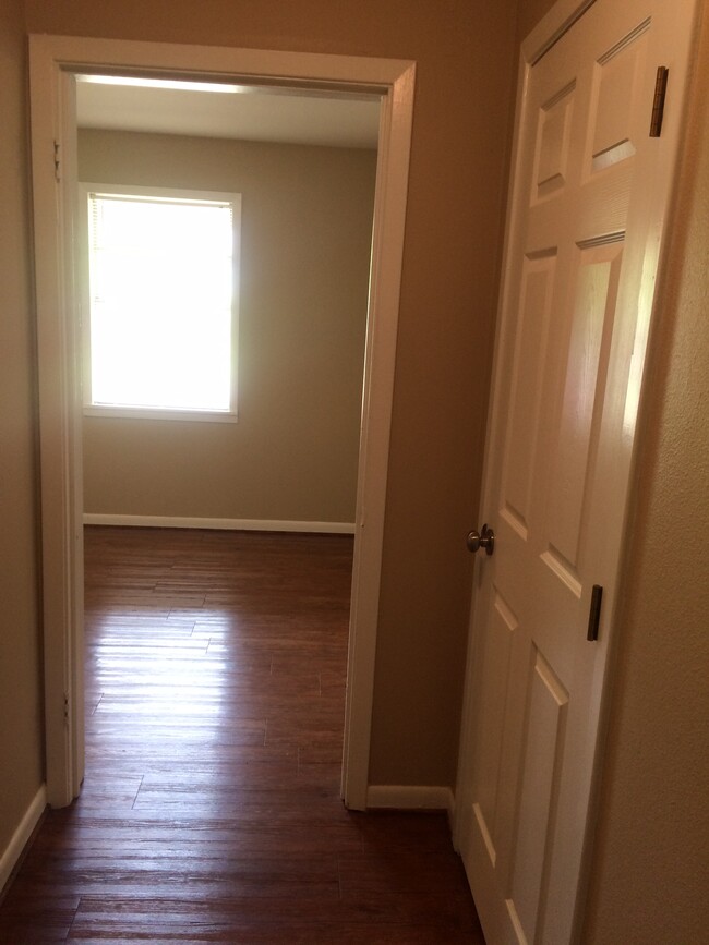 Sunny kitchen window from hall, hall closet door - 213 Mitchell St