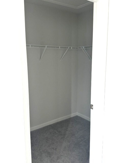 Building Photo - 319 Brae Hvn Dr