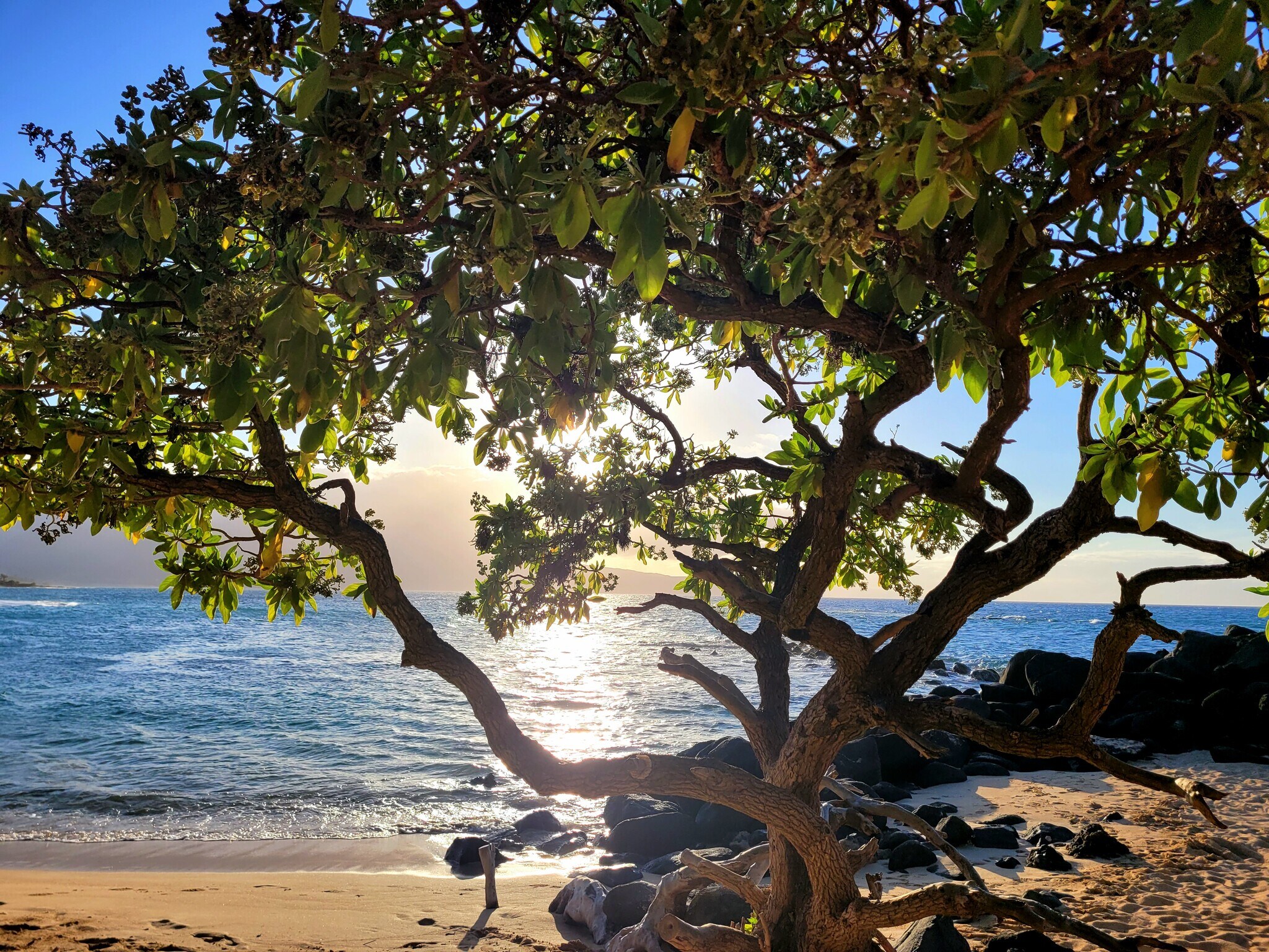 Building Photo - 111 Kahului Beach Rd