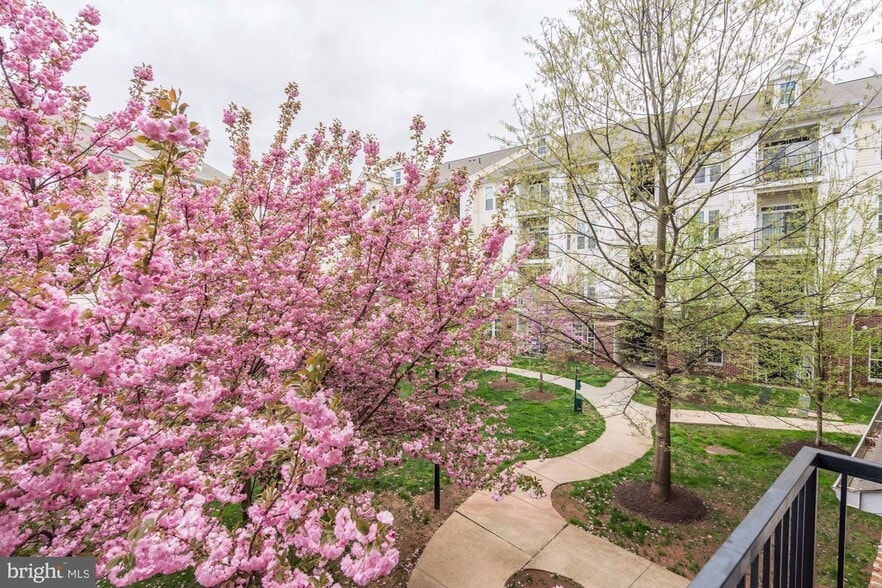 Building Photo - 21228 McFadden Sq