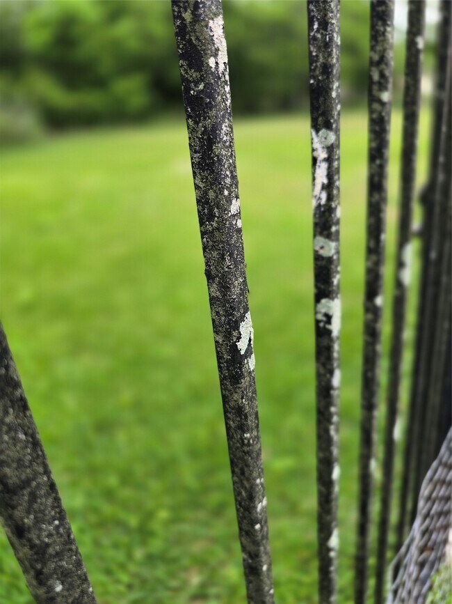 Building Photo - 12018 McKinney Falls Ln