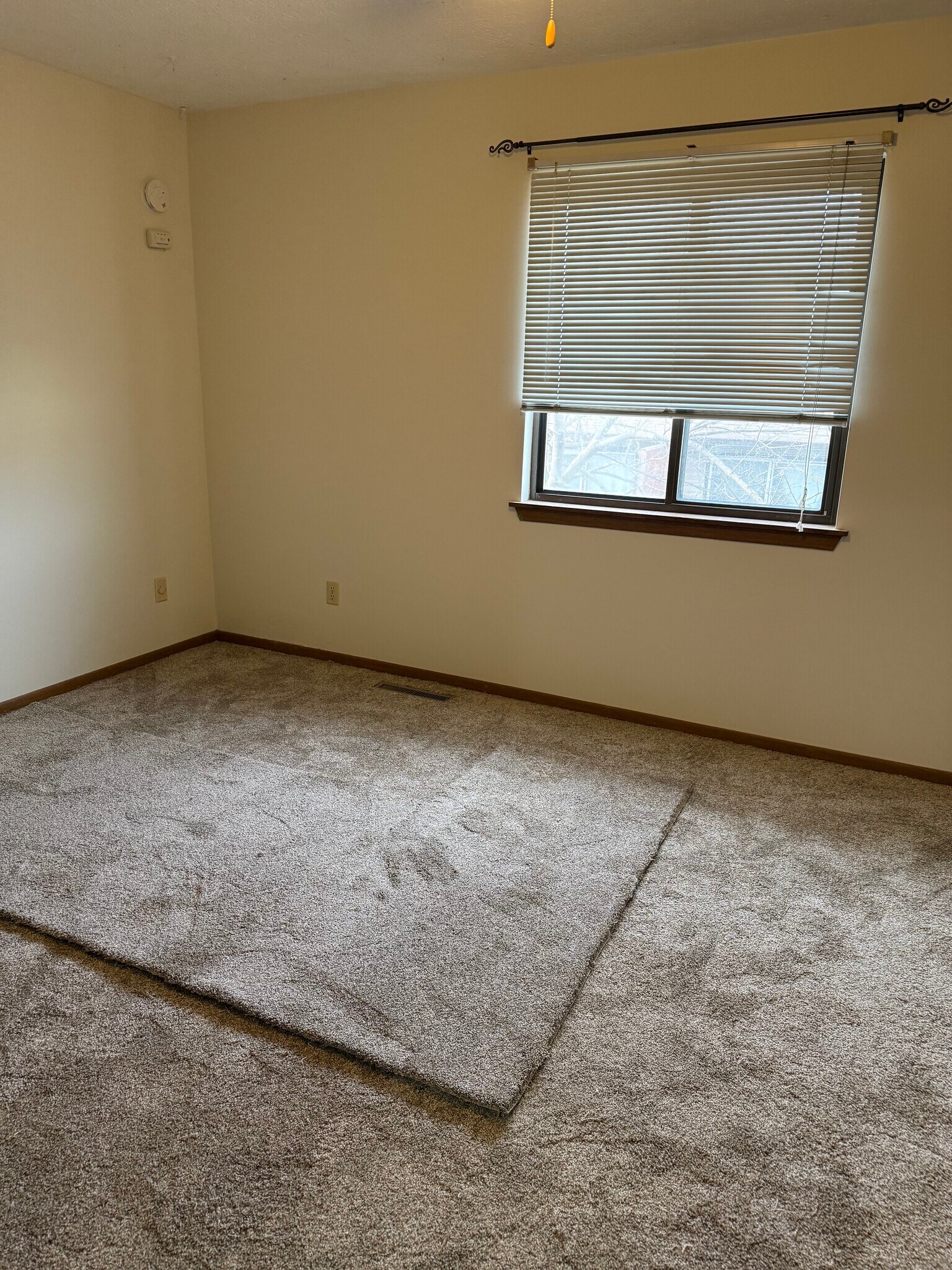 Building Photo - 4019 Lillie Ave