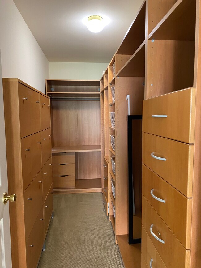 Primary BR walk in closet - 258 Riverwalk Way