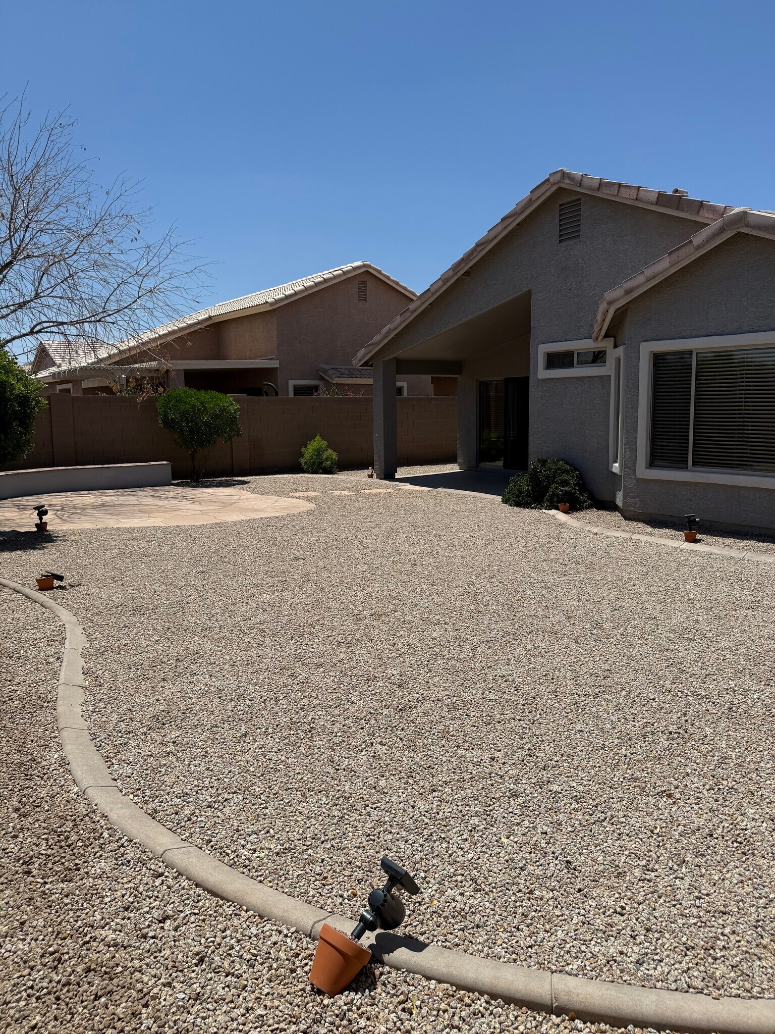 Backyard - 3793 S Joshua Tree Ln