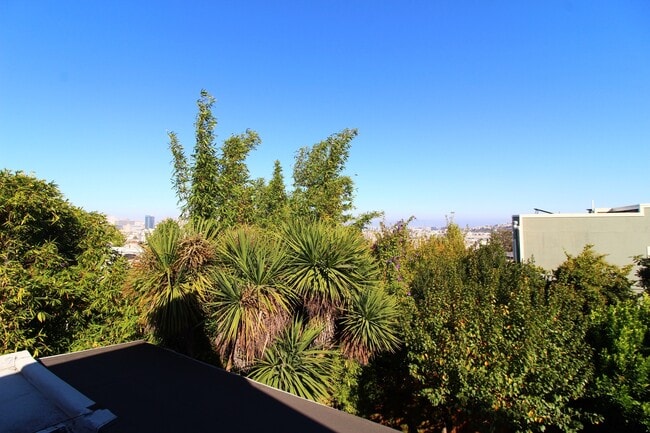 Building Photo - Dolores Heights: Sun-filled 1 Bedroom Home...