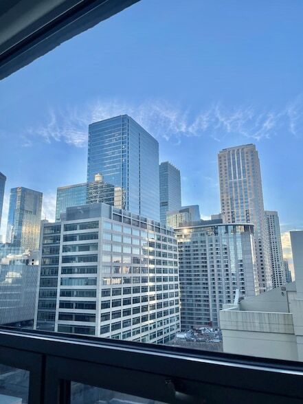 Building Photo - 440 N Wabash Ave