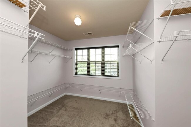 Building Photo - 6059 Cove Park Dr